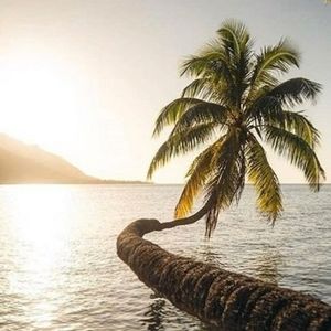 Meet your Posher, Posh